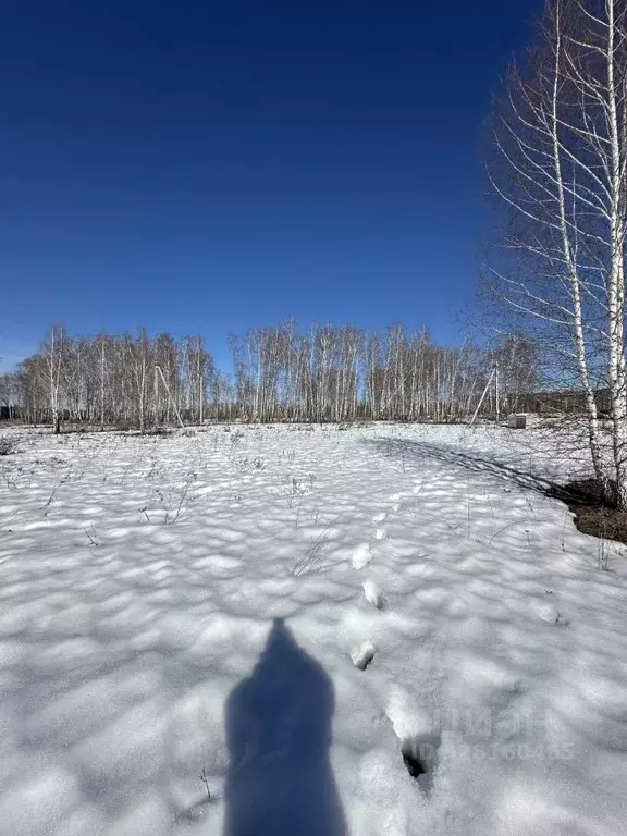 Участок в Челябинская область, Сосновский муниципальный округ, Городок ... - Фото 2