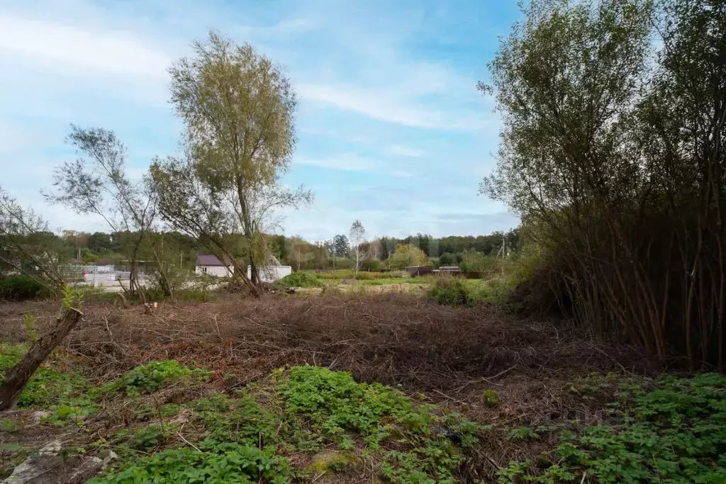 Участок в Калининградская область, Калининград ул. Соловьиная, 398 ... - Фото 2