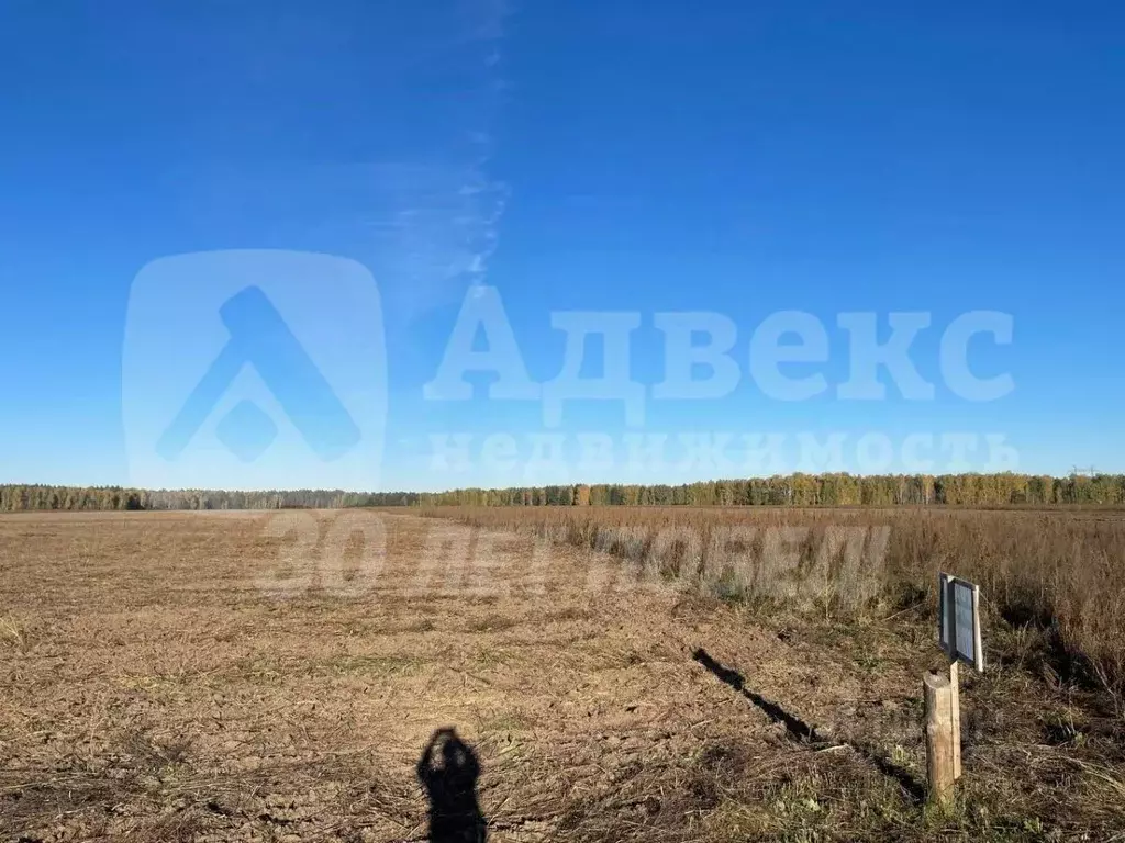 Участок в Тюменская область, Нижнетавдинский муниципальный округ, ... - Фото 1