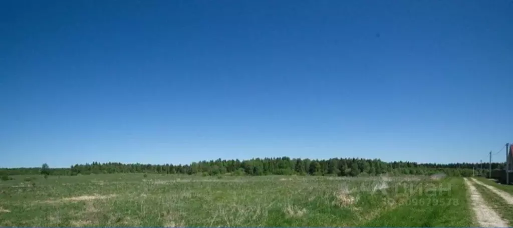 Участок в Московская область, Шаховская городской округ, с. Черленково ... - Фото 0