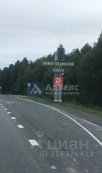 Участок в Тюменская область, Нижнетавдинский район, Лесная сказка СНТ ... - Фото 1