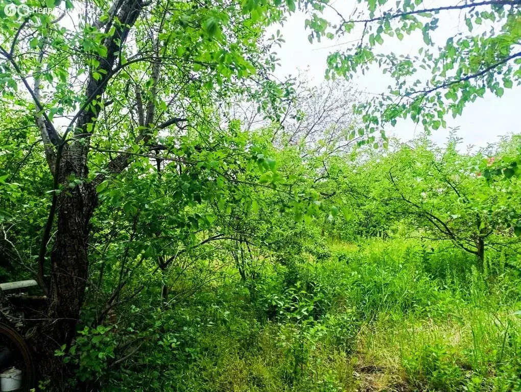 Участок в Ростов-на-Дону, 3-я Залповая улица (6 м) - Фото 0