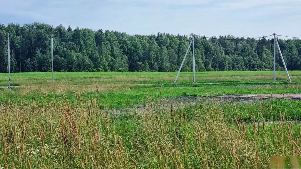 Участок в Санкт-Петербург пос. Левашово, Про Левашово кп,  (12.0 сот.) - Фото 1