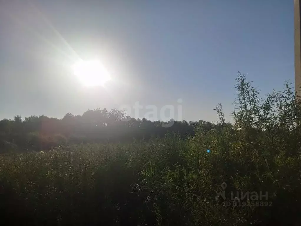 Участок в Амурская область, Благовещенск  (20.0 сот.) - Фото 1