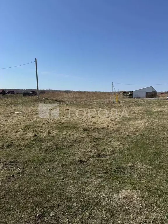 Участок в Новосибирская область, Новосибирский район, Толмачевский ... - Фото 0