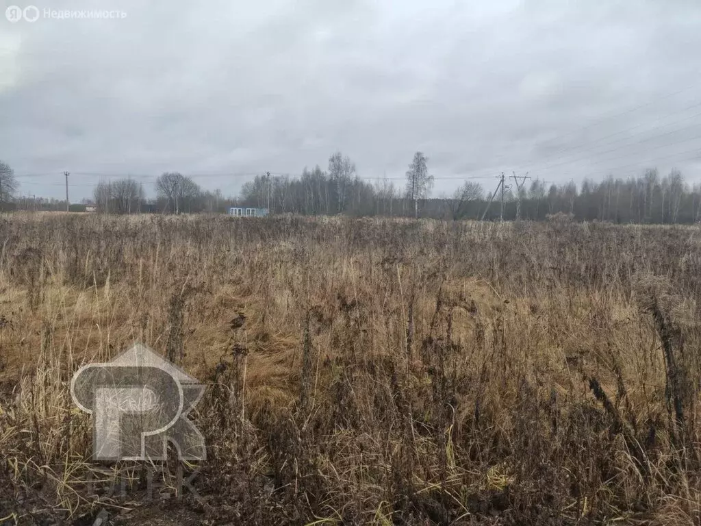 Участок в Московская область, Раменский муниципальный округ, село ... - Фото 1