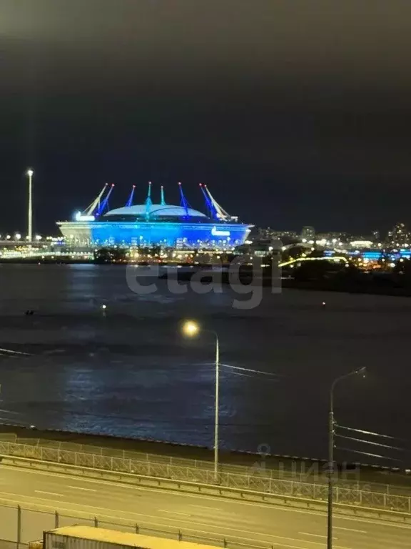 Студия Санкт-Петербург Уральская ул., 25 (24.6 м) - Фото 1