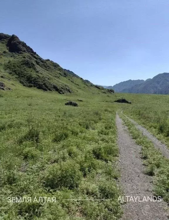 Участок в Алтай, Чемальский район, Чемальское с/пос  (25.0 сот.) - Фото 0
