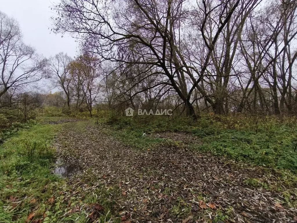 Дом в Московская область, Раменский муниципальный округ, пос. Рылеево ... - Фото 2