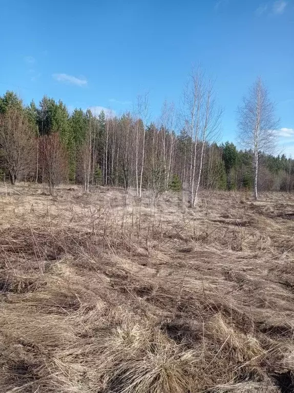 Участок в Свердловская область, Нижний Тагил ул. 2-я Звездная, 29 ... - Фото 0