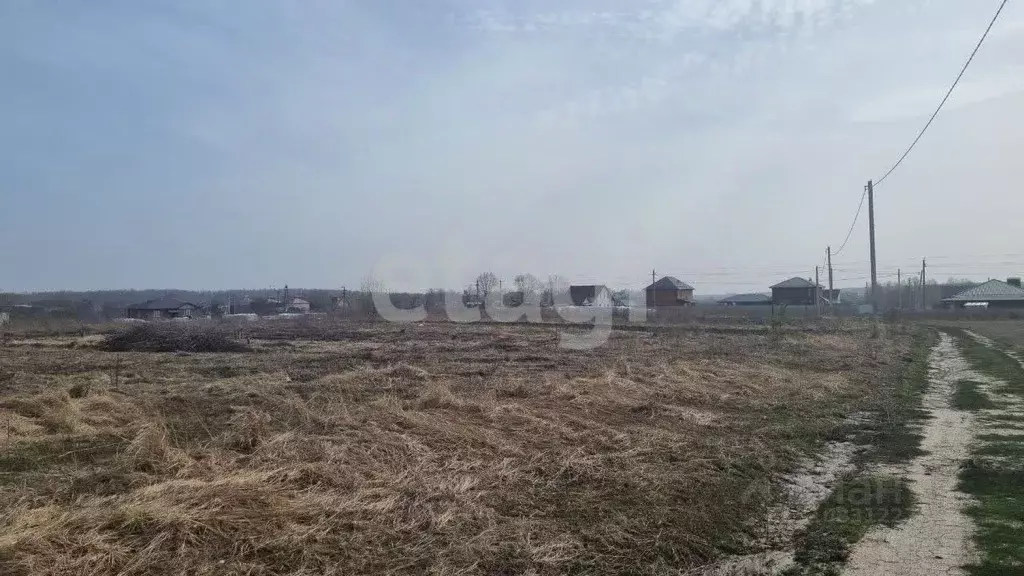 Участок в Брянская область, Брянский район, Снежское с/пос, с. ... - Фото 1