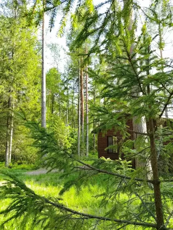 Дом в Карелия, Прионежский район, Деревянское с/пос, д. Уя ул. Дачная, ... - Фото 0