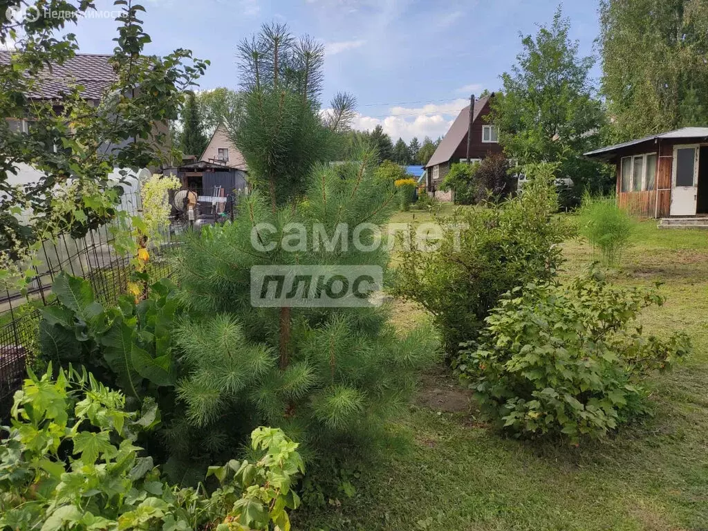Участок в Новолуговской сельсовет, садовое товарищество Ромашка-Иня, ... - Фото 1