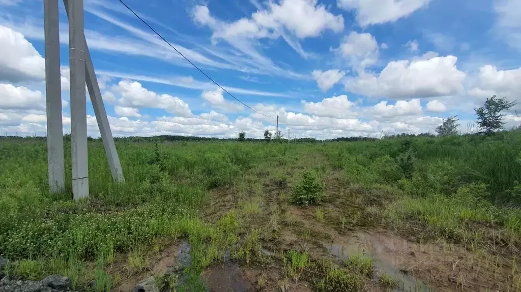 Участок в Хабаровский край, Хабаровский район, с. Корсаково-1  (8.0 ... - Фото 2