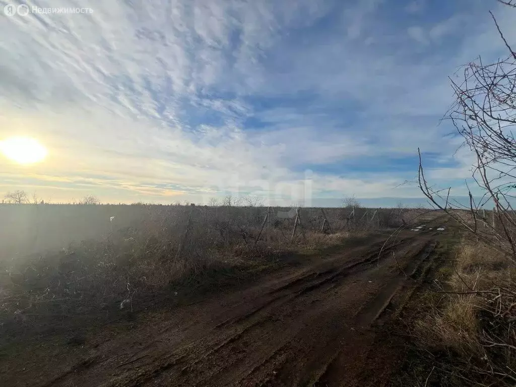 Участок в Бахчисарайский район, село Угловое (144 м) - Фото 1