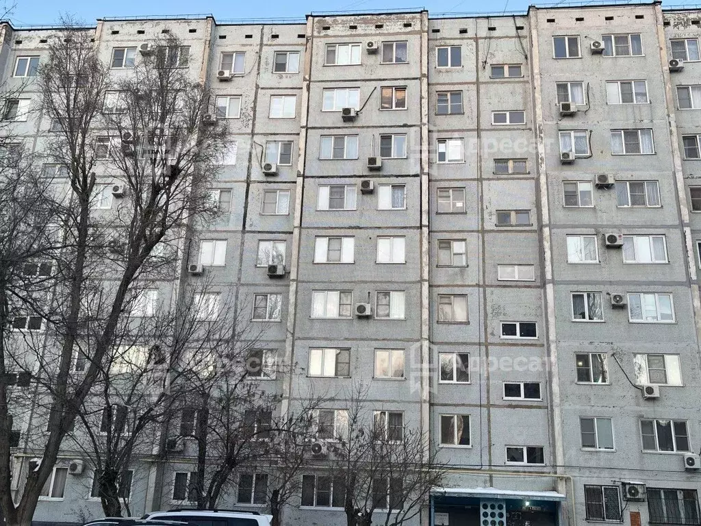 2-к кв. Волгоградская область, Волгоград ул. Землячки, 52 (51.5 м) - Фото 1