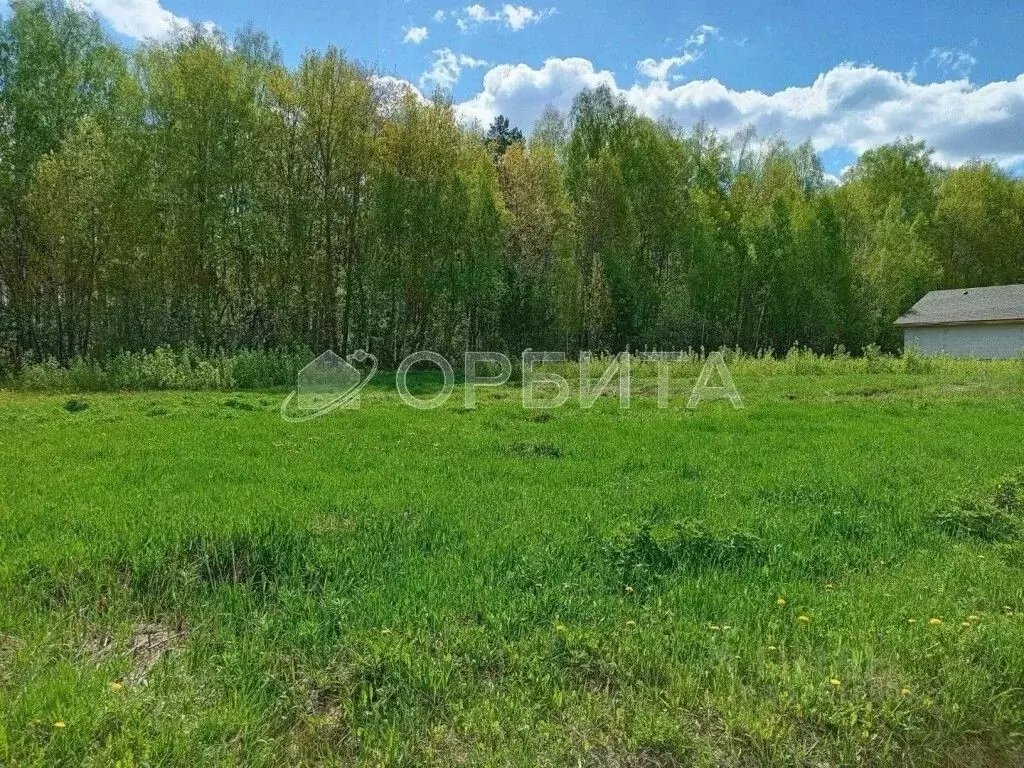 Участок в Тюменская область, Тюменский район, с. Кулига, Сказка кп  ... - Фото 0