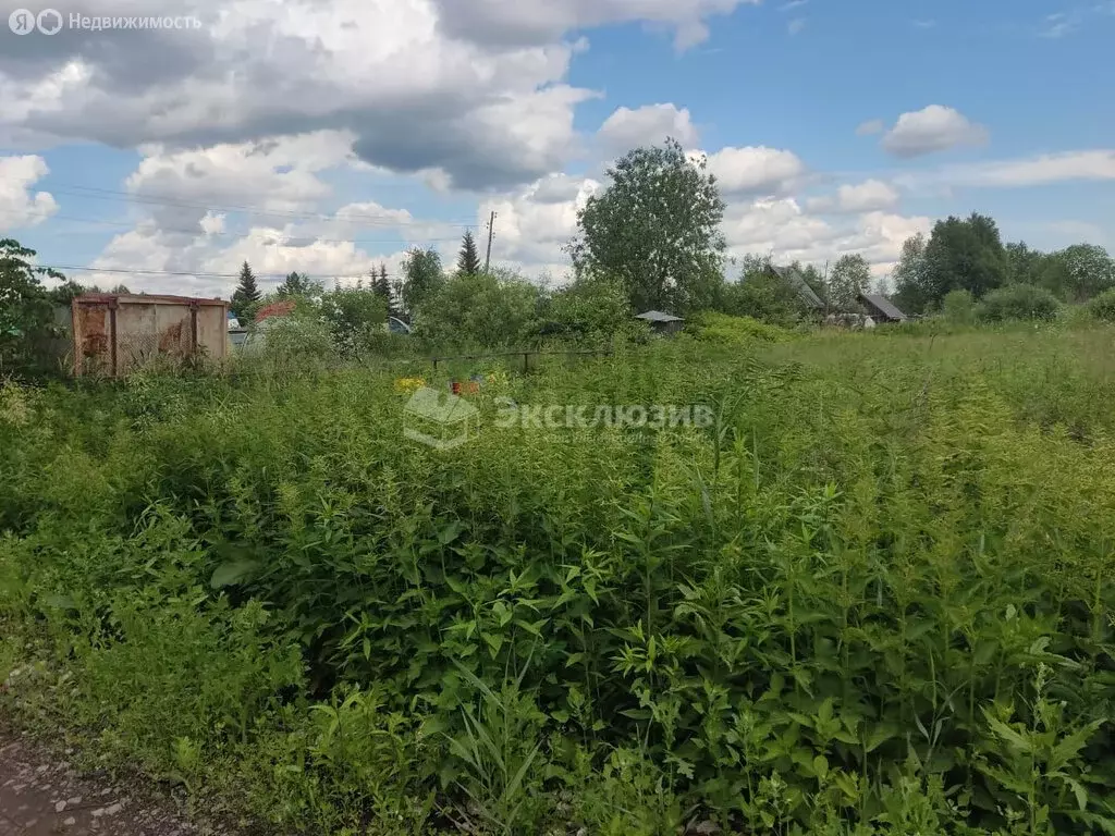 Участок в Нижнетавдинский район, товарищество собственников ... - Фото 0