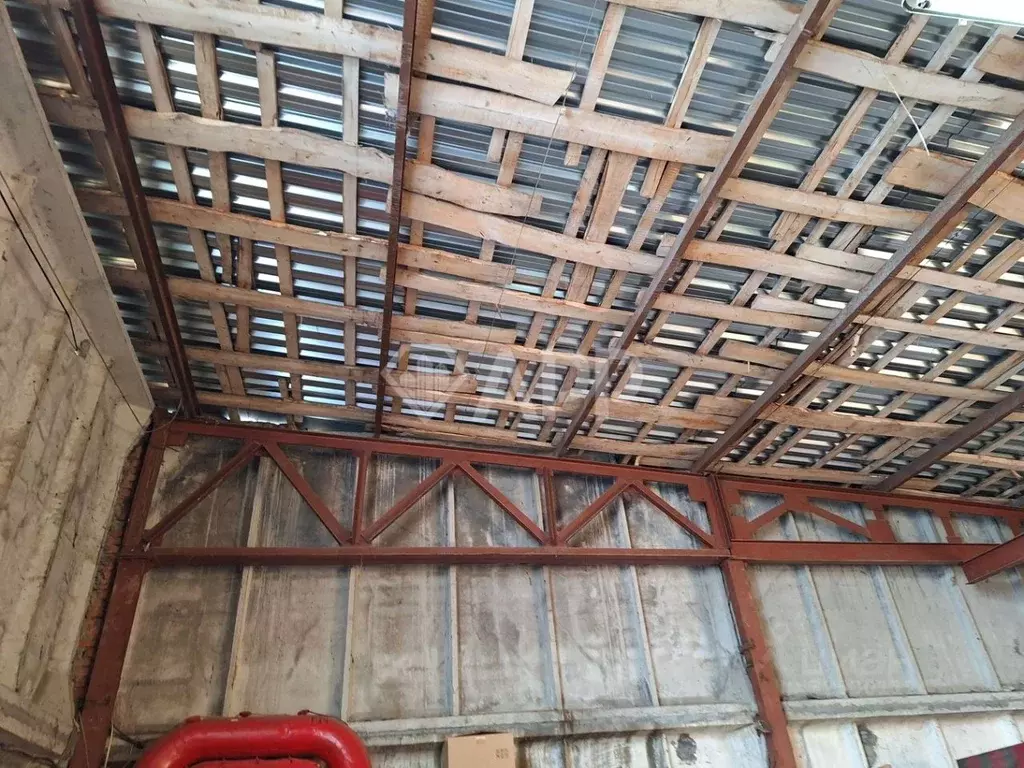 Помещение свободного назначения в Татарстан, Казань Техническая ул., ... - Фото 2