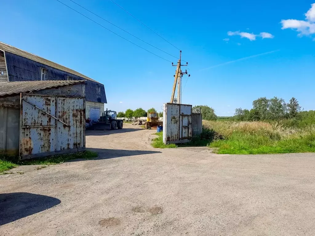 Производственное помещение в Ярославская область, Ярославский район, ... - Фото 0