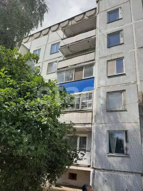 3-к кв. Тульская область, Ефремовский муниципальный округ, пос. ... - Фото 1