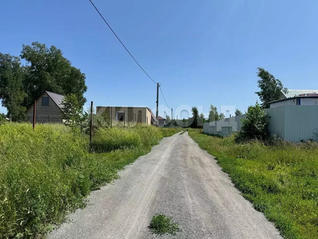 Участок в Новосибирская область, Новосибирский район, Верх-Тулинский ... - Фото 1