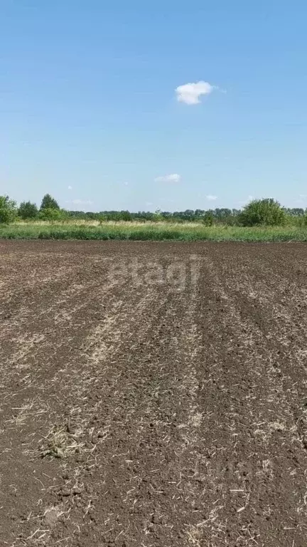 Участок в Алтайский край, Белокуриха Советская ул. (660.0 сот.) - Фото 1