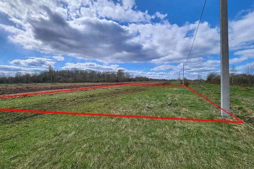 Участок в Новгородская область, Новгородский район, Савинское с/пос, ... - Фото 2