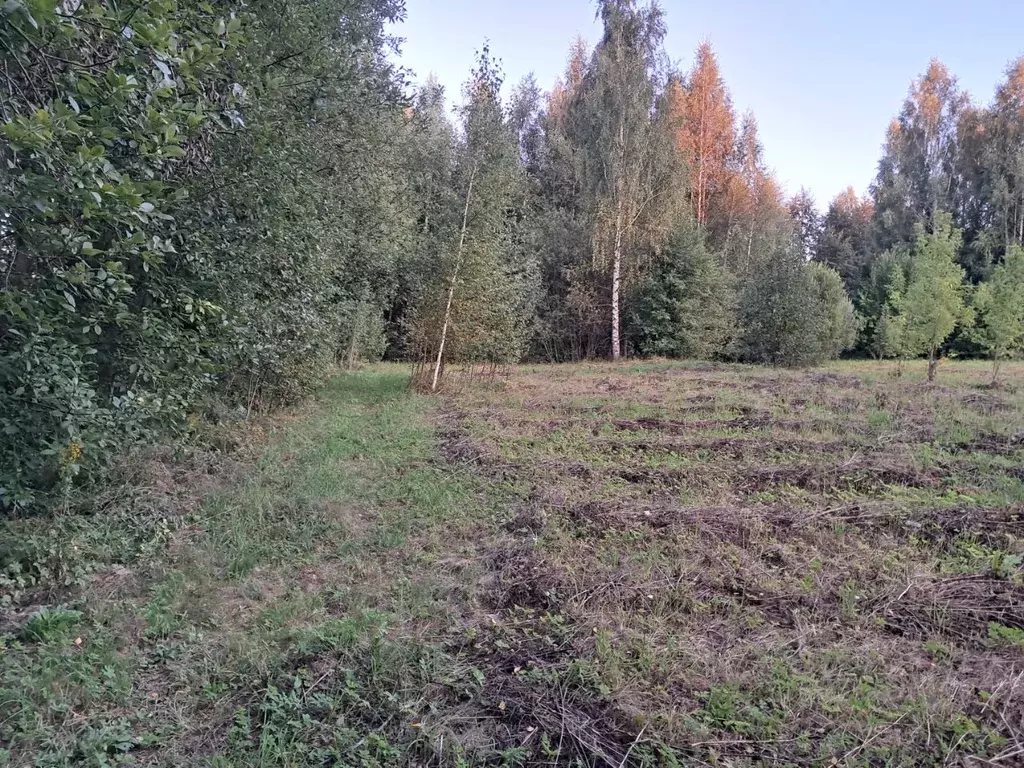 Участок в Тверская область, Кашинский городской округ, д. Горки  (38.0 ... - Фото 0