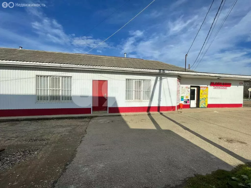 Торговая площадь (124.2 м) - Фото 1