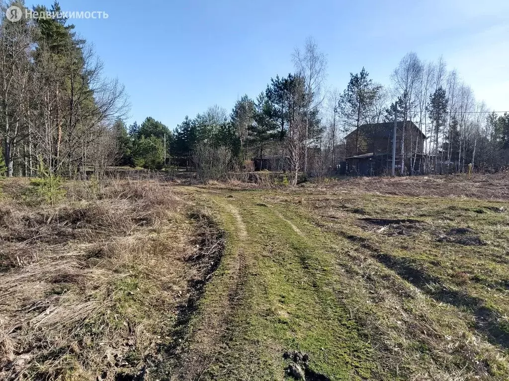 Купить Участок Песчаное Новгородский Район