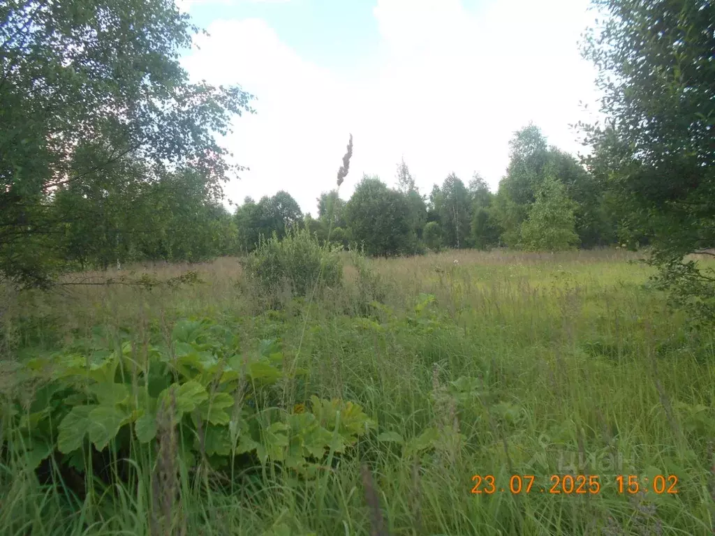 Участок в Московская область, Шаховская муниципальный округ, д. ... - Фото 1