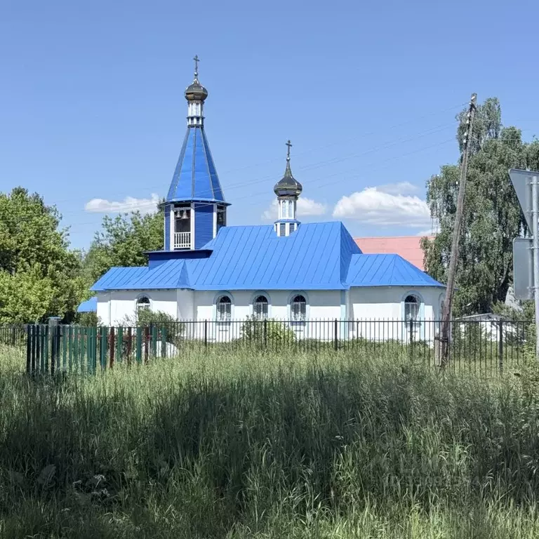 Участок в Рязанская область, Спасский муниципальный округ, с. Лакаш ... - Фото 2