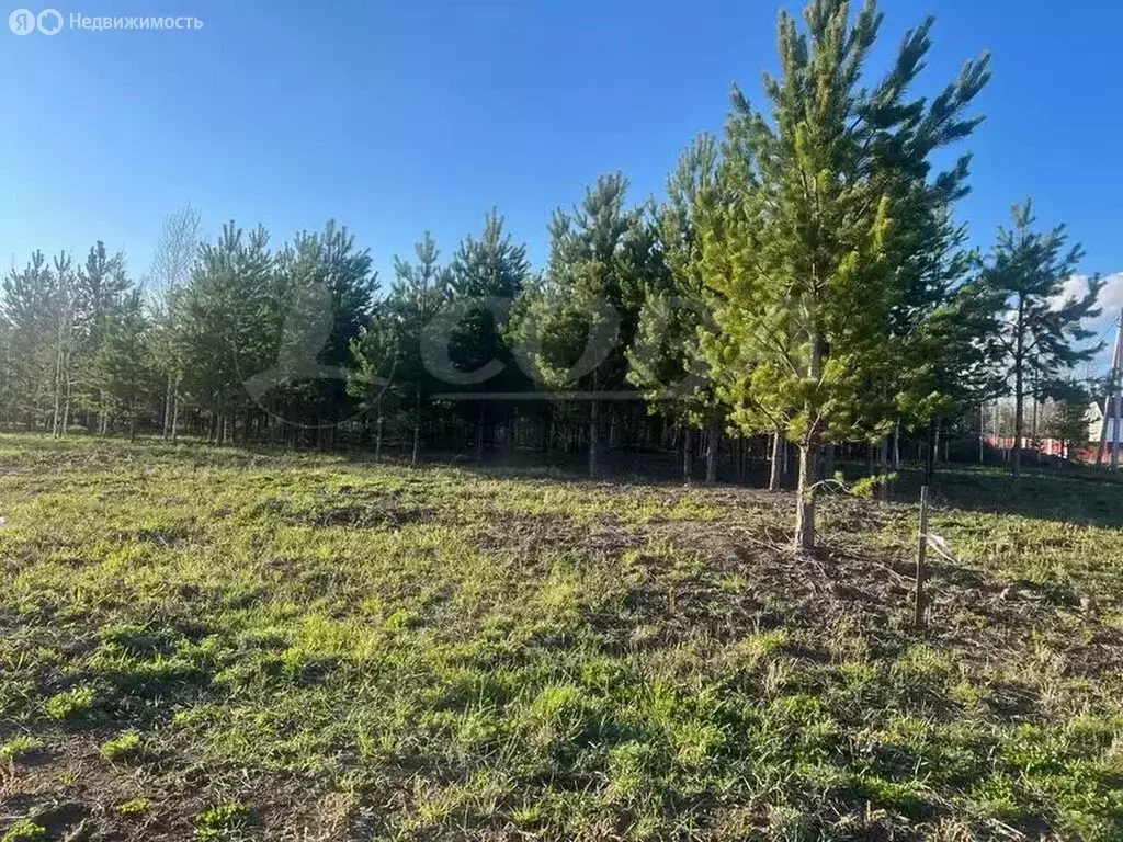 Участок в Тюменский район, деревня Криводанова (9.7 м) - Фото 0