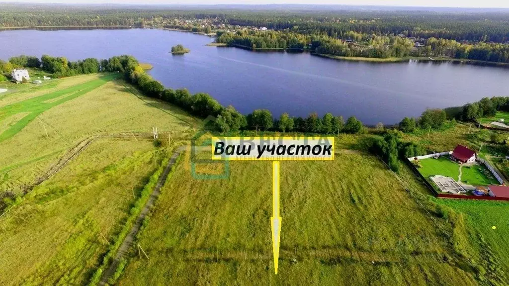 Участок в Ленинградская область, Приозерский район, Раздольевское ... - Фото 1