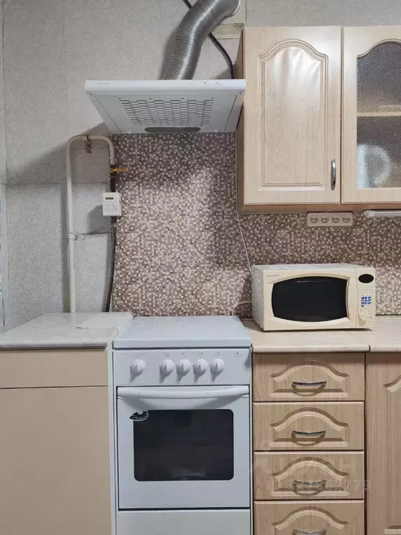 2-к кв. Омская область, Омск пос. Кордный, ул. 4-я Кордная, 52 (40.0 ... - Фото 2