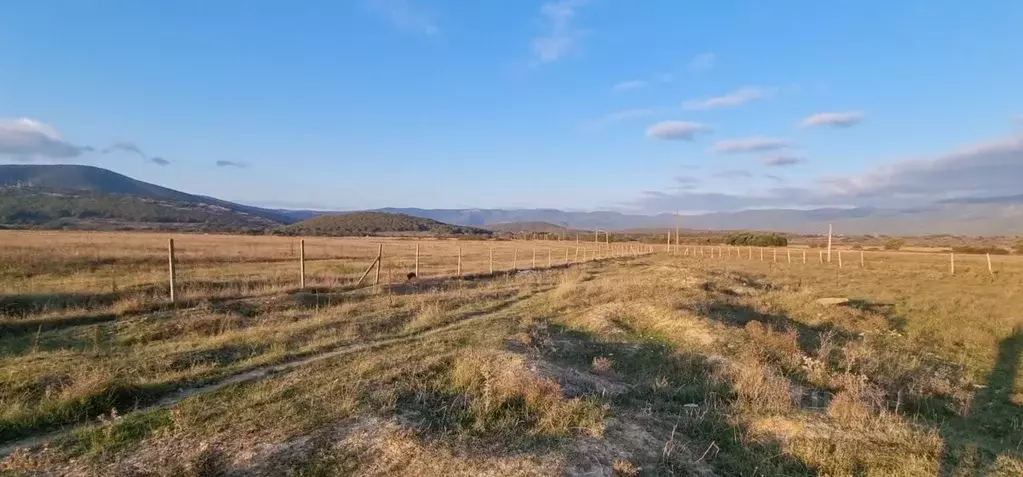 Участок в Севастополь с. Орлиное, ул. Рябиновая, 37 (110.0 сот.) - Фото 1