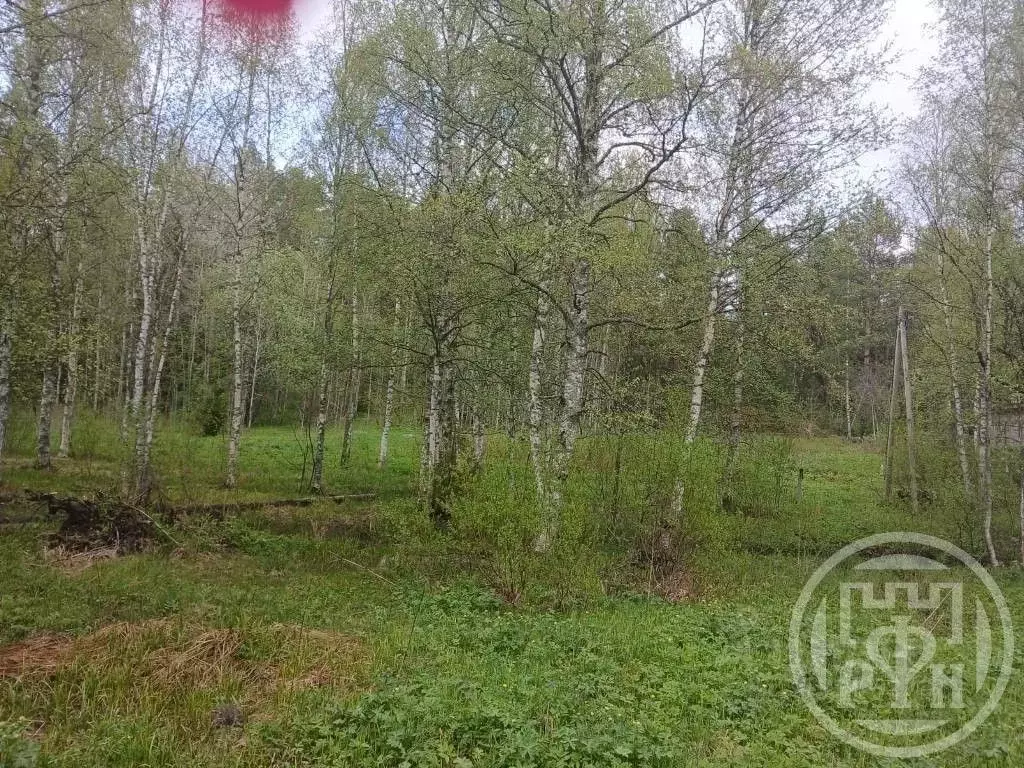 Участок в Ленинградская область, Приозерское городское поселение, пос. ... - Фото 1