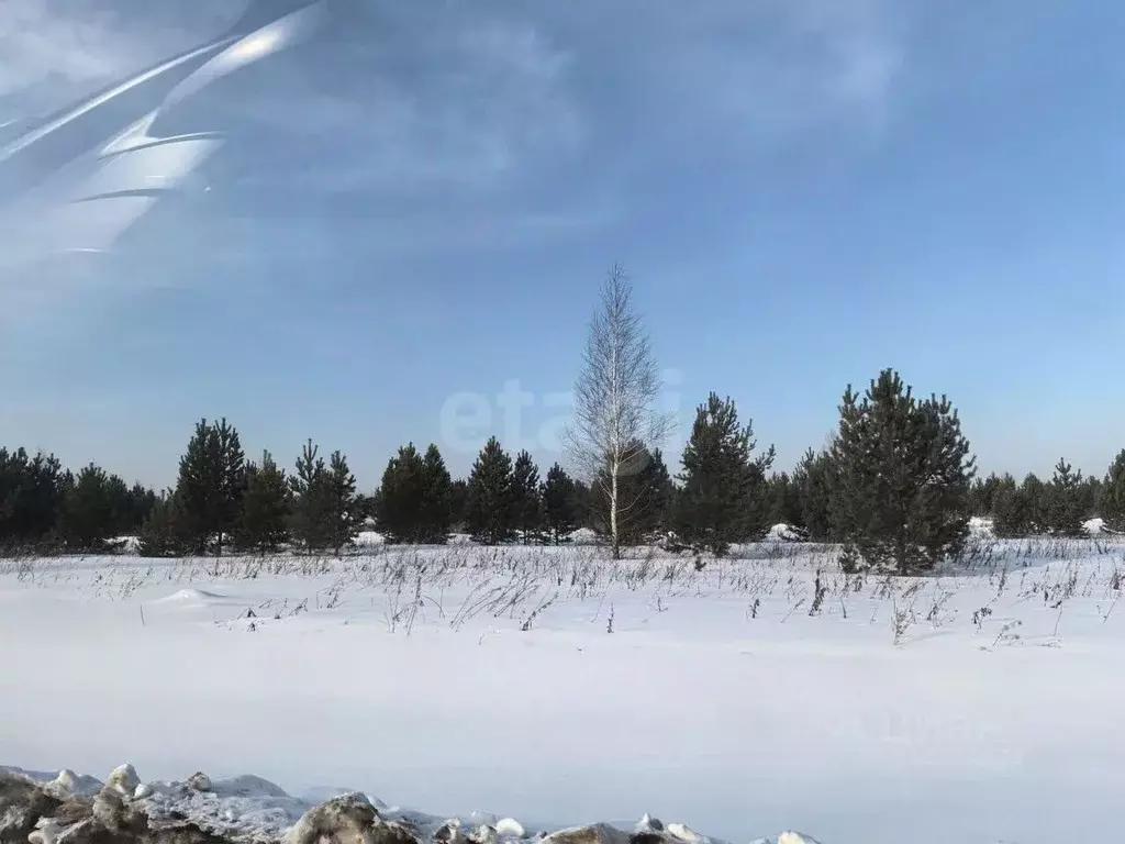 Участок в Тюменская область, Тюменский район, Новокаменский кп  (10.0 ... - Фото 0