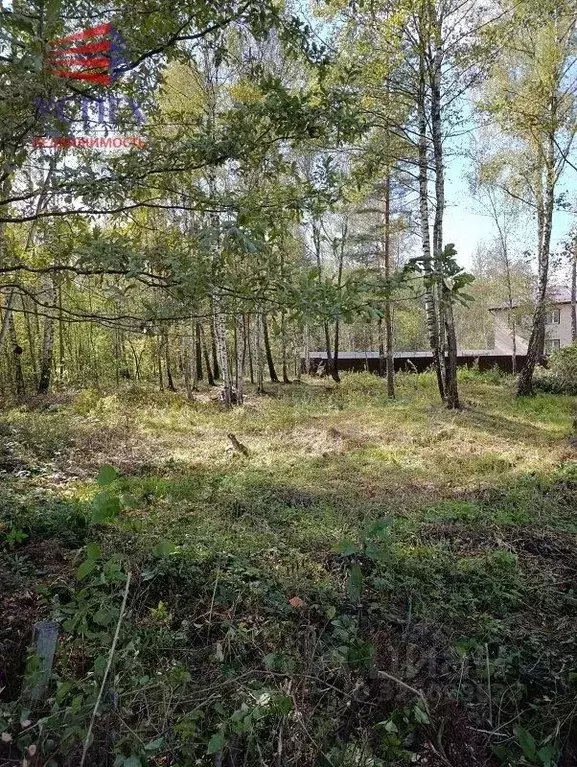 Участок в Московская область, Раменский муниципальный округ, д. ... - Фото 1