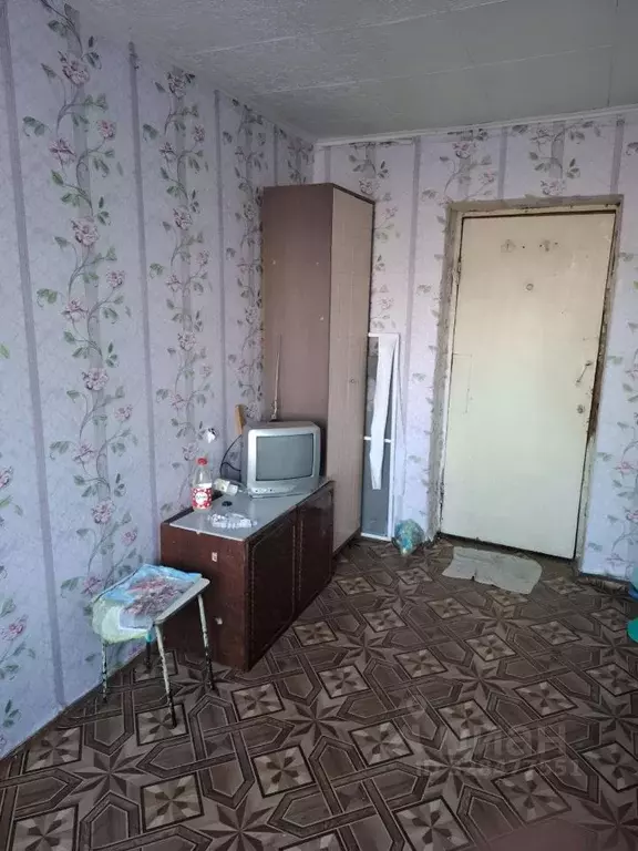 Комната Курганская область, Курган просп. Конституции, 79 (16.0 м) - Фото 2