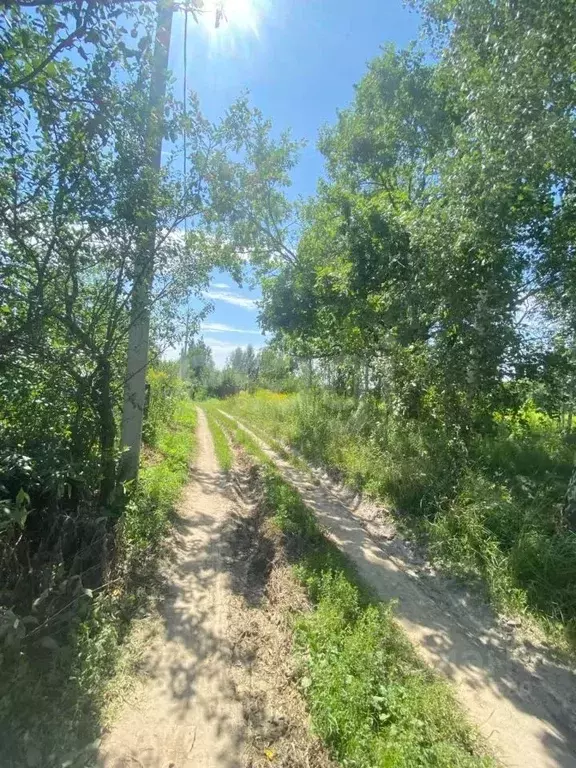 Участок в Брянская область, Брянский район, Снежское с/пос, пос. ... - Фото 1