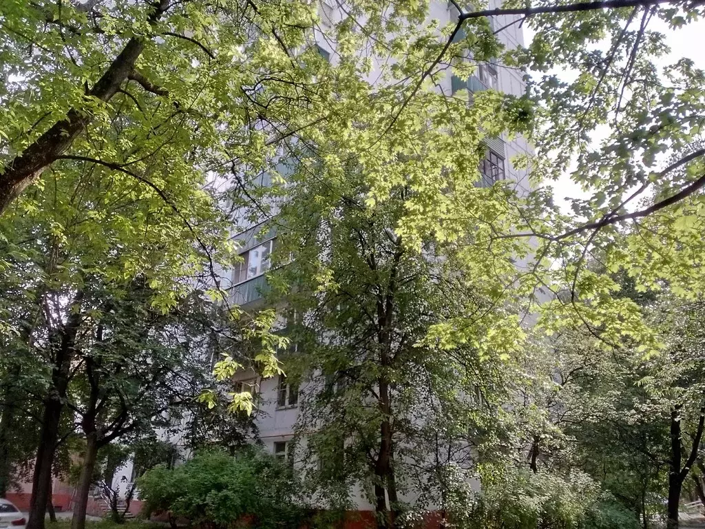 Помещение свободного назначения в Москва ул. 5-я Соколиной Горы, 25К1 ... - Фото 1