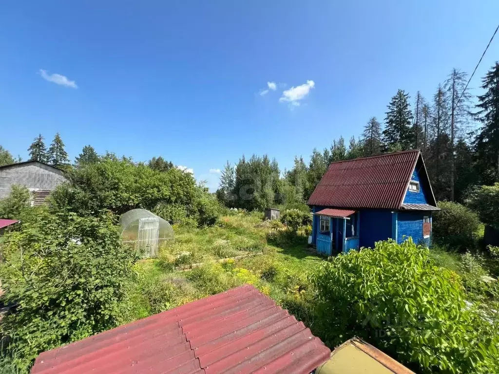 Дом в Вологодская область, Лиана садоводческое товарищество  (25 м) - Фото 2