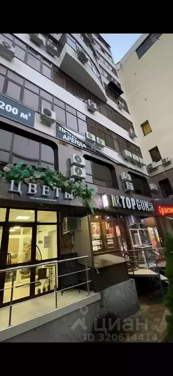 Помещение свободного назначения в Краснодарский край, Сочи Виноградная ... - Фото 0