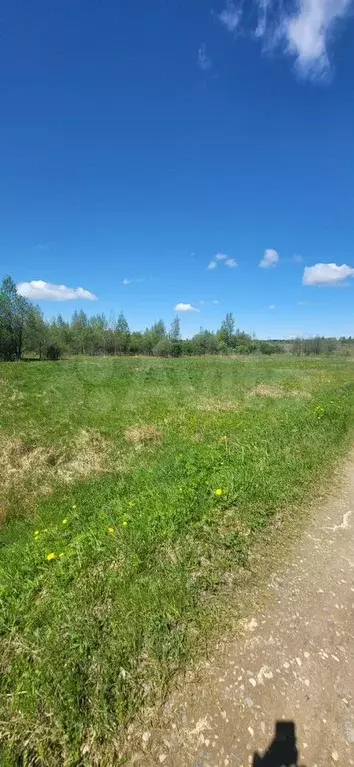 Участок 16 сот. (ИЖС) - Фото 1