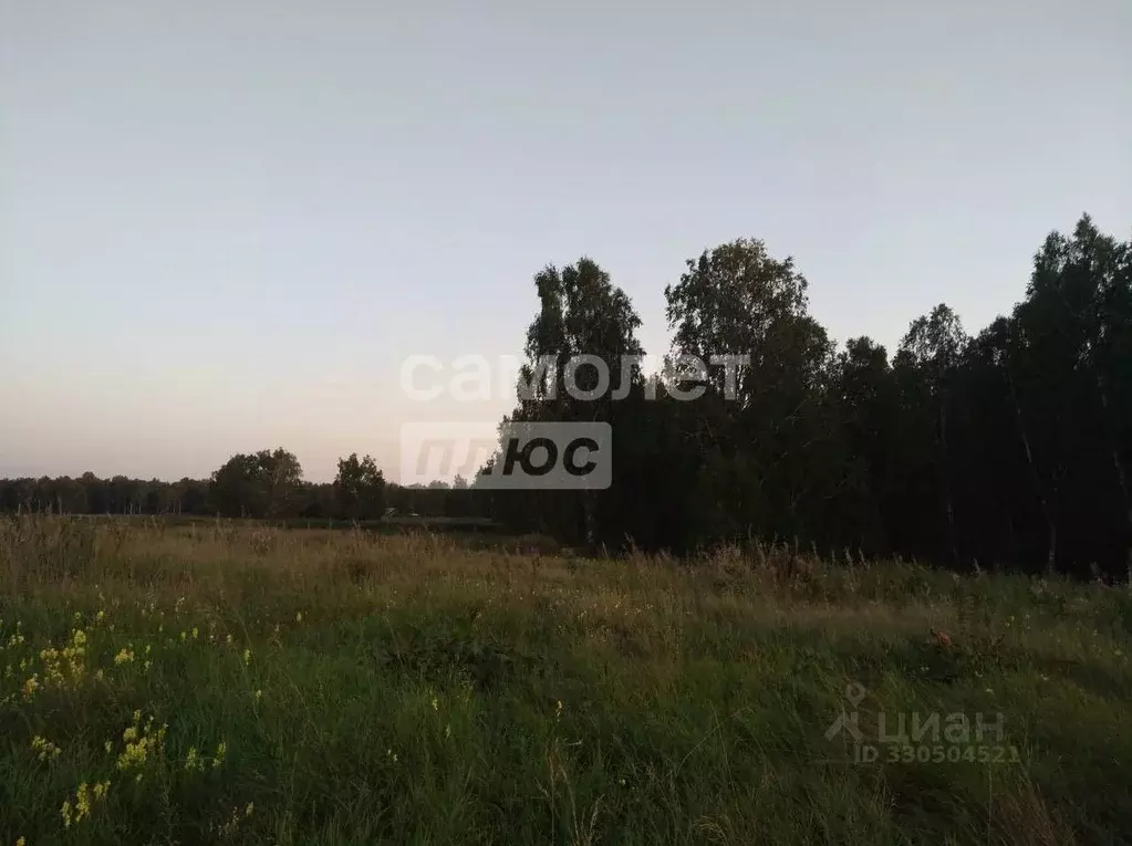 Участок в Челябинская область, Сосновский муниципальный округ, д. ... - Фото 1