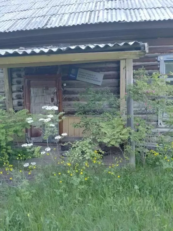 Помещение свободного назначения в Амурская область, Селемджинский ... - Фото 2