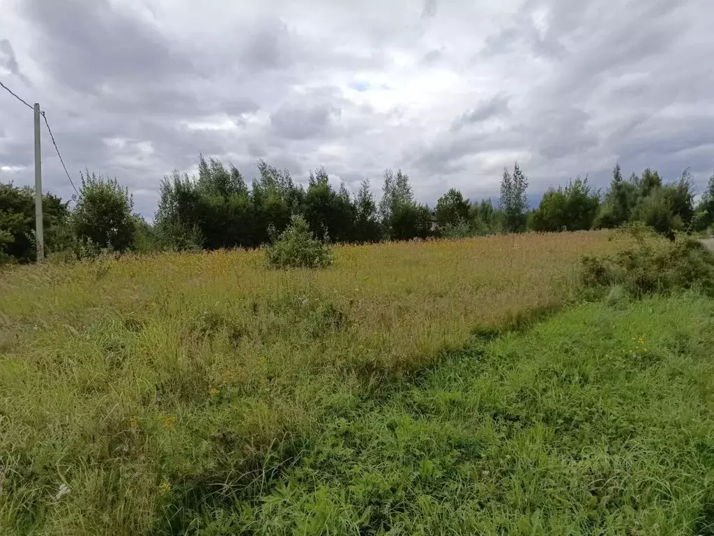 Участок в Московская область, Кашира Ожерелье мкр,  (9.9 сот.) - Фото 1