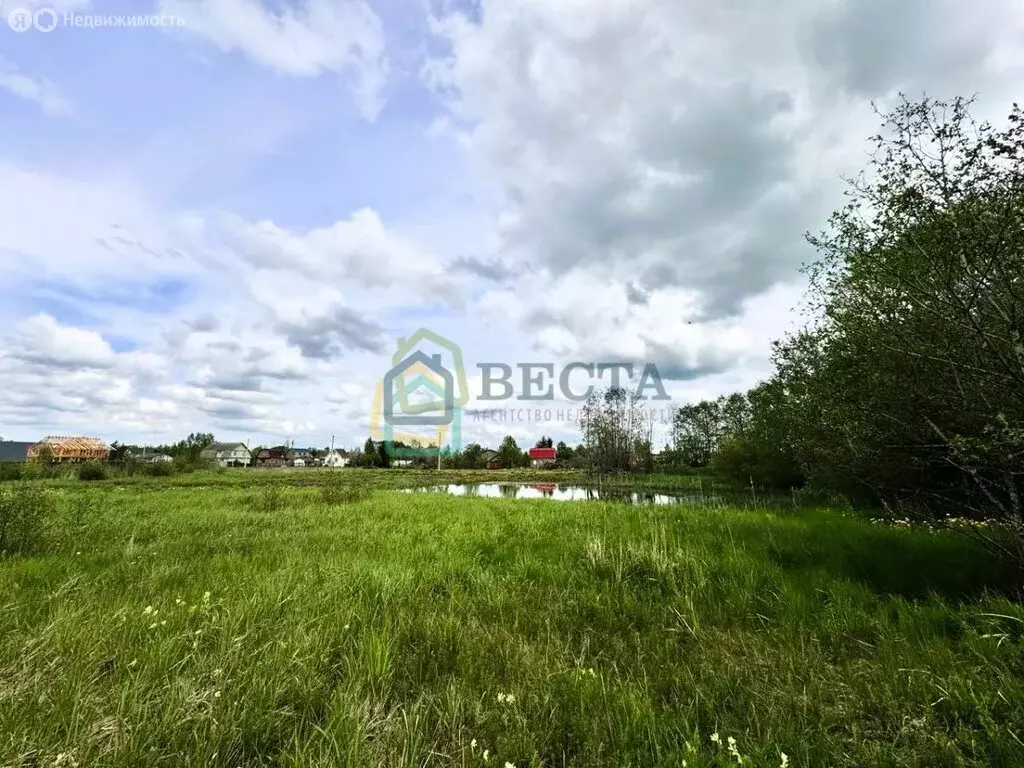 Участок в Красноборское городское поселение (19.8 м) - Фото 0